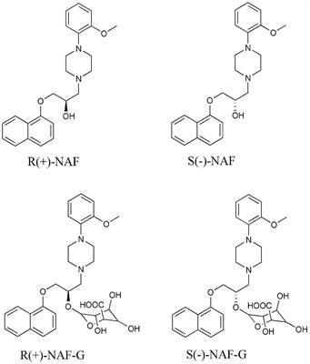 Human UDP-Glucuronosyltransferase 2B4 and 2B7 Are Responsible for Naftopidil Glucuronidation in Vitro